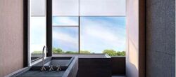 21 Anderson (D10), Condominium #453826141